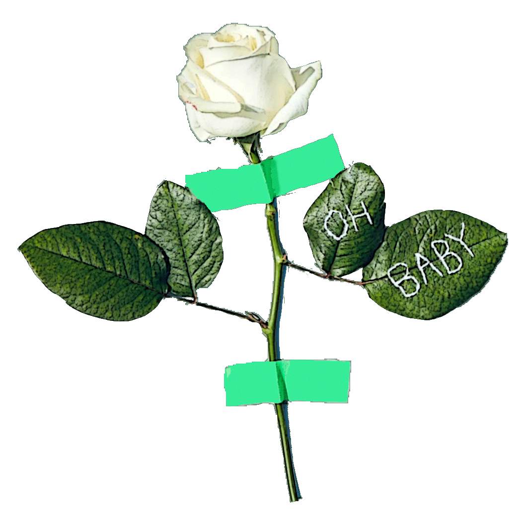 The Mother Project with Sophie Beresiner