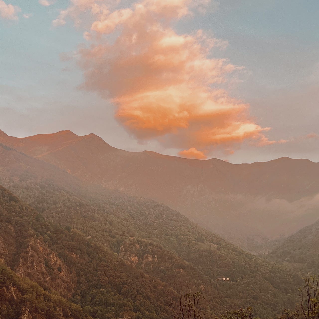 Letters from the Mountain 