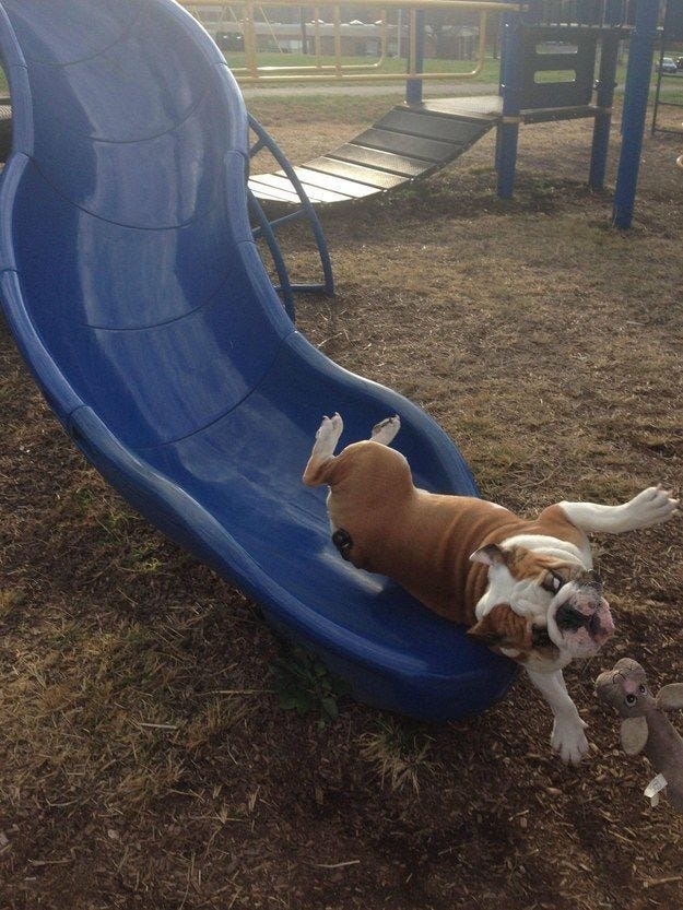 31 Things That Are Way More Important Than Studying For Finals Right Now