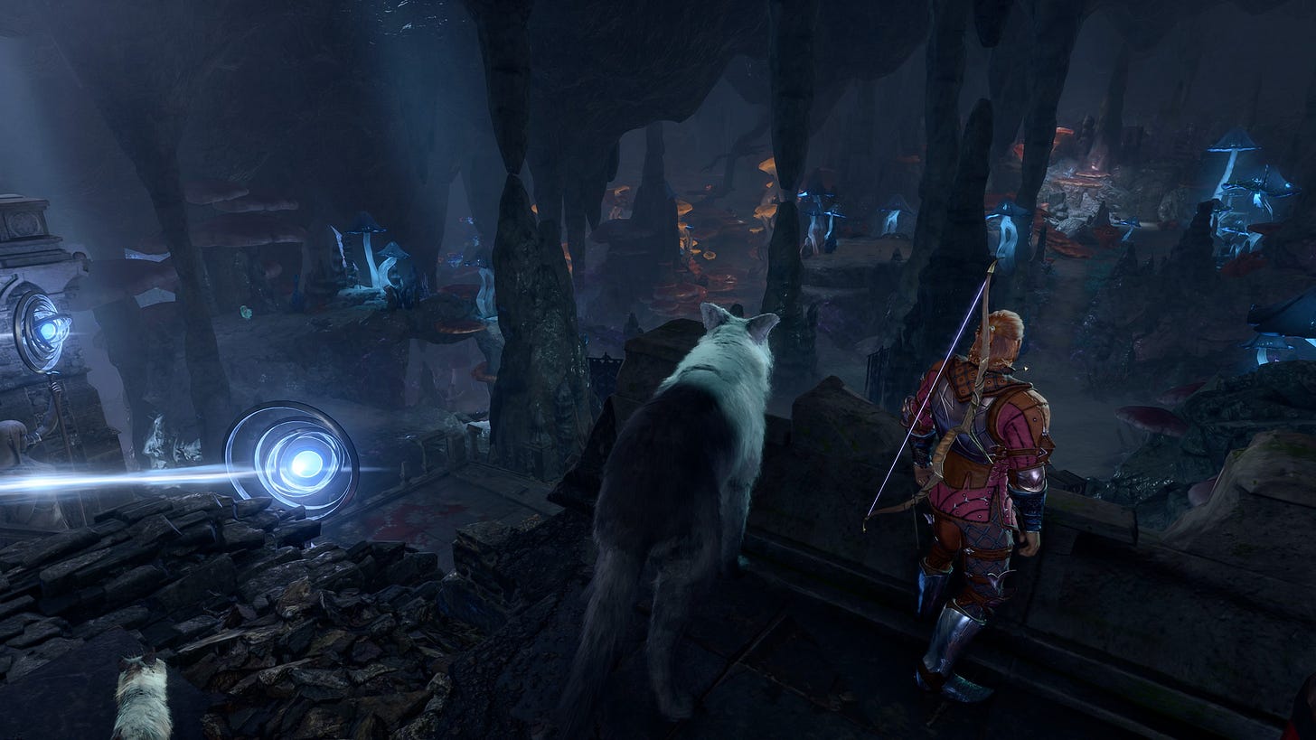 Můj ranger Rolf, vlk Lupus a kočka koukají na Underdark.