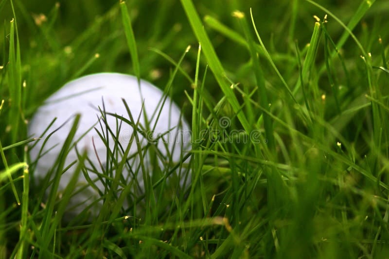 130 Lost Golf Ball Stock Photos - Free & Royalty-Free Stock Photos from  Dreamstime