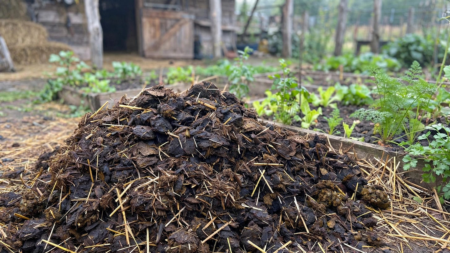 Tas fumier potager