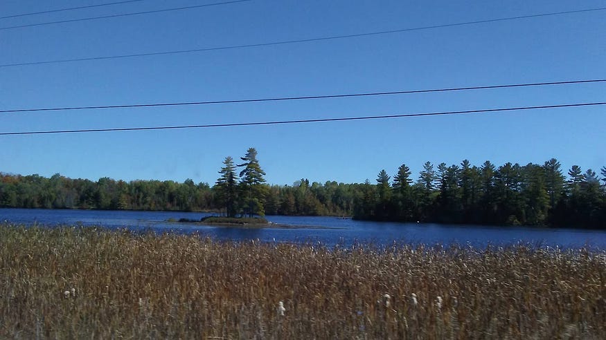 A tiny island in Spring Lake in fall.