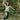 green sounds world's avatar