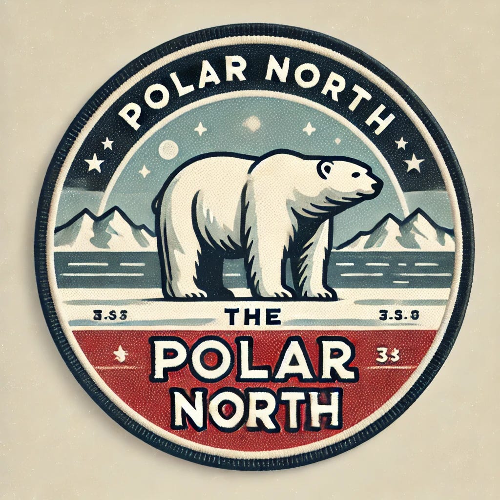 Artwork for The Polar Publication