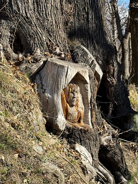 Carved faces in tree stumps