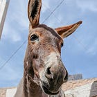 It’s Coming In That?