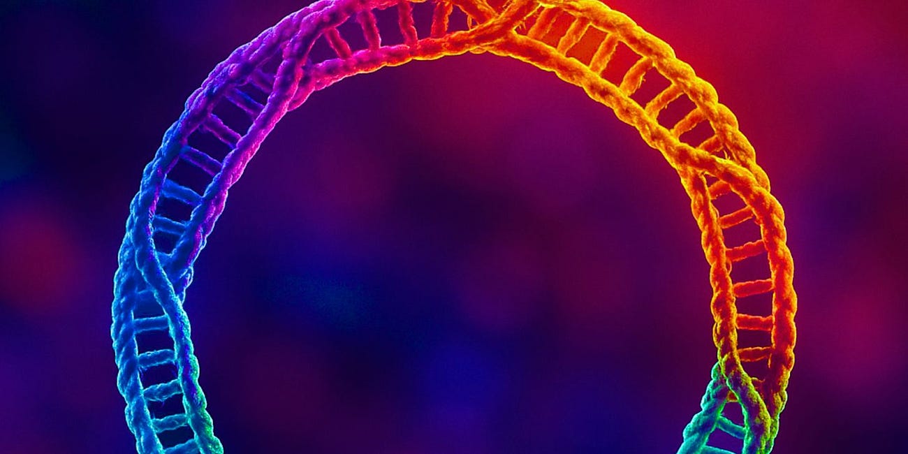 COVID-19 mRNA Shot Plasmids Contain 3 Human DNA Segments Capable of Integrating Into the Human Genome—Matching 3 Main Post-Vaccine Side Effect Categories