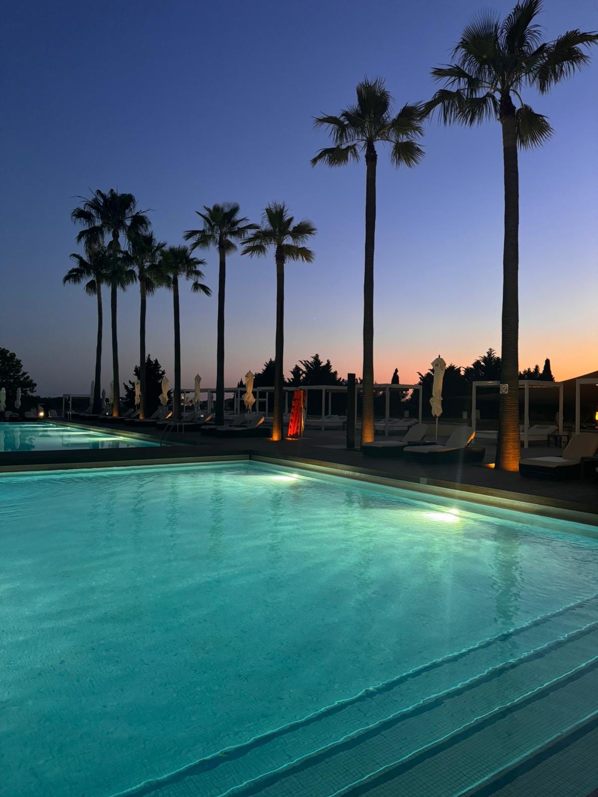 Image By Author - The Pool
