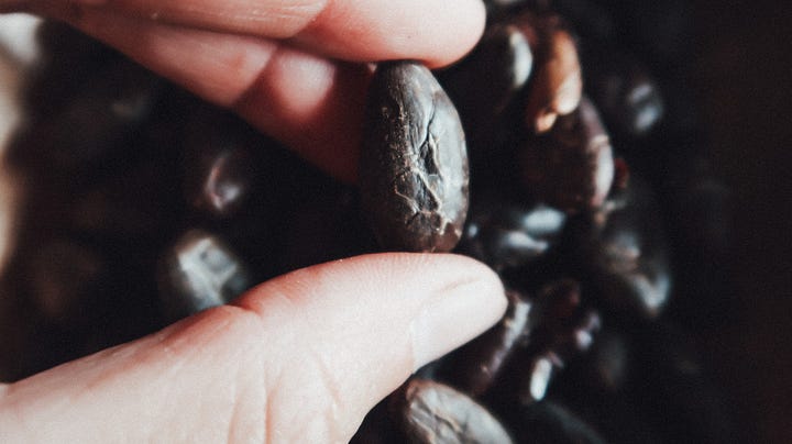 Fèves de cacao crues et torréfiées de variété ancestrales