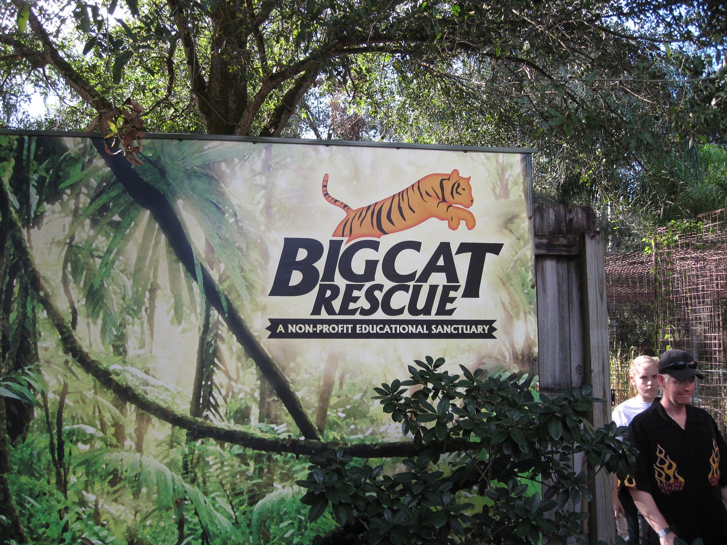 20 of the Best Things to Do in Tampa With Kids - The Family Vacation Guide 20 of the Best Things to Do in Tampa With Kids - The Family Vacation Guide