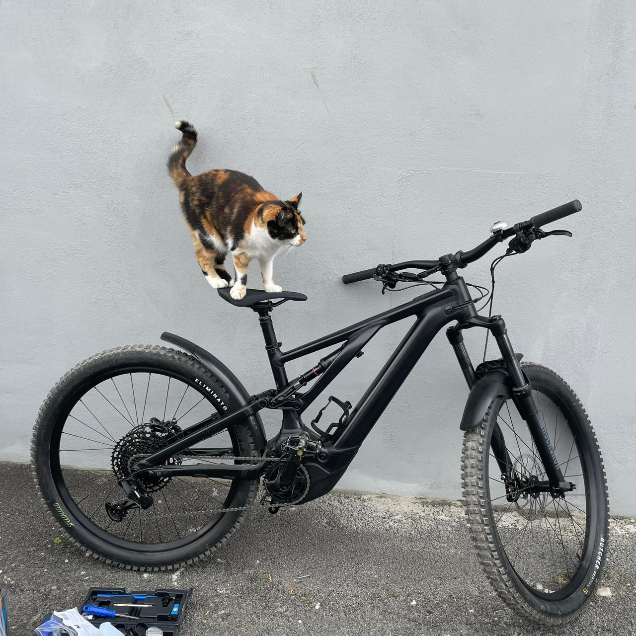 Mark’s Kidney Cancer Journal