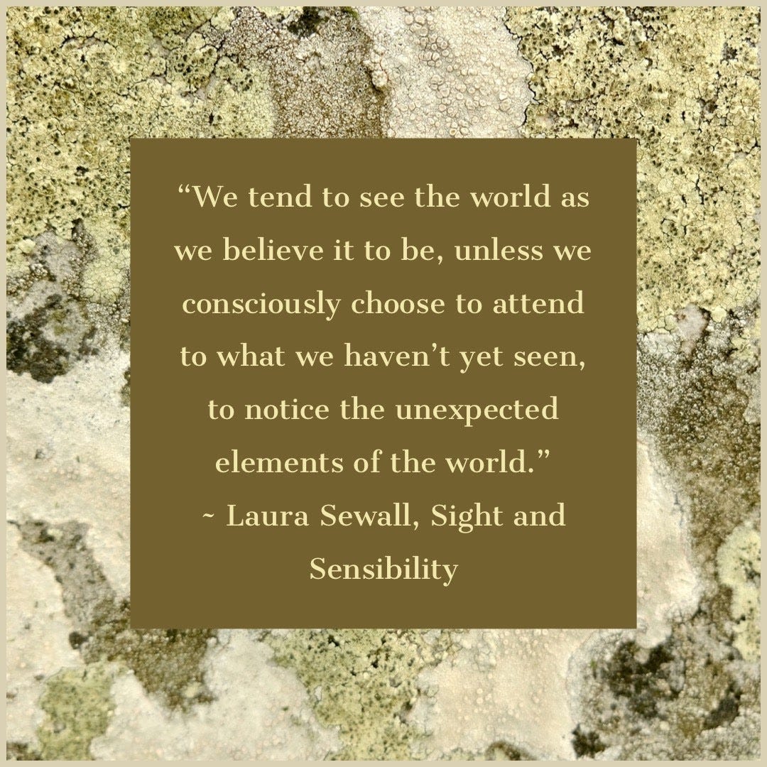 Sight and Sensibility