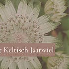 Het Keltische Jaarwiel