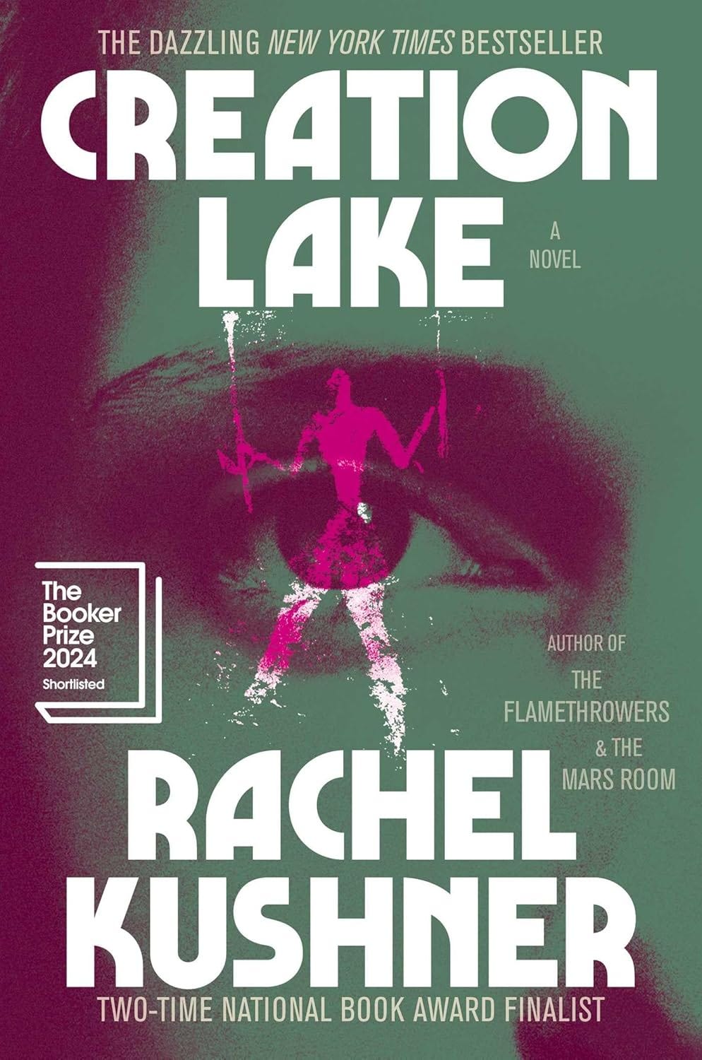 Creation Lake by Rachel Kushner: a review
