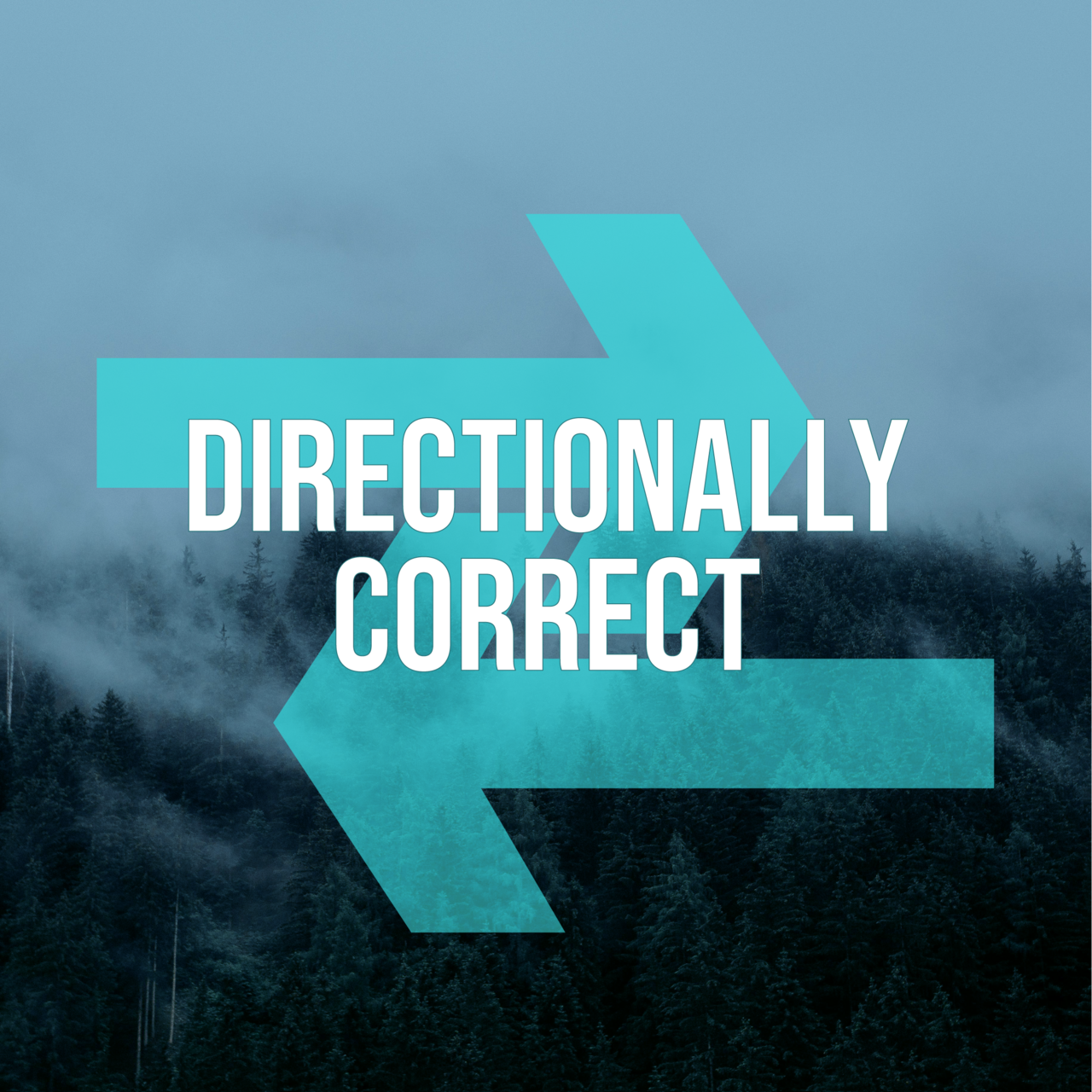 Directionally Correct Newsletter