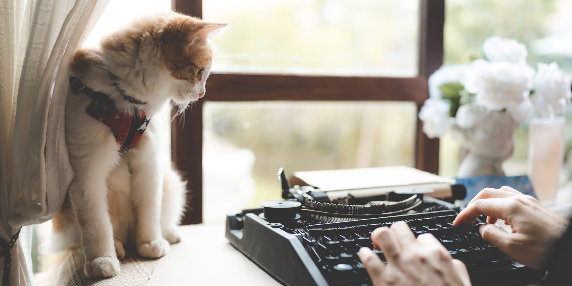 Cat looking at a typewriter while writer types, representing inspiring your curiosity.