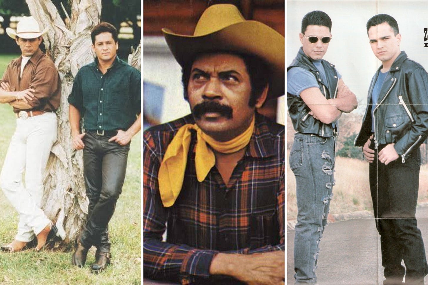 Look country feminino