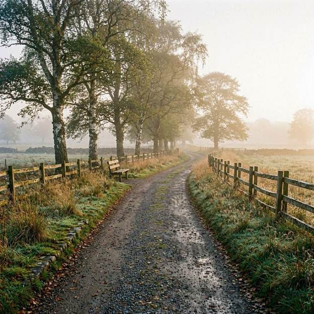 a 3:1 panoramic photograph of a winding path through morning fog — the kind of image that evokes both habit and possibility
