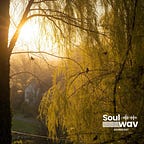 Soul Wav