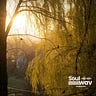 Soul Wav
