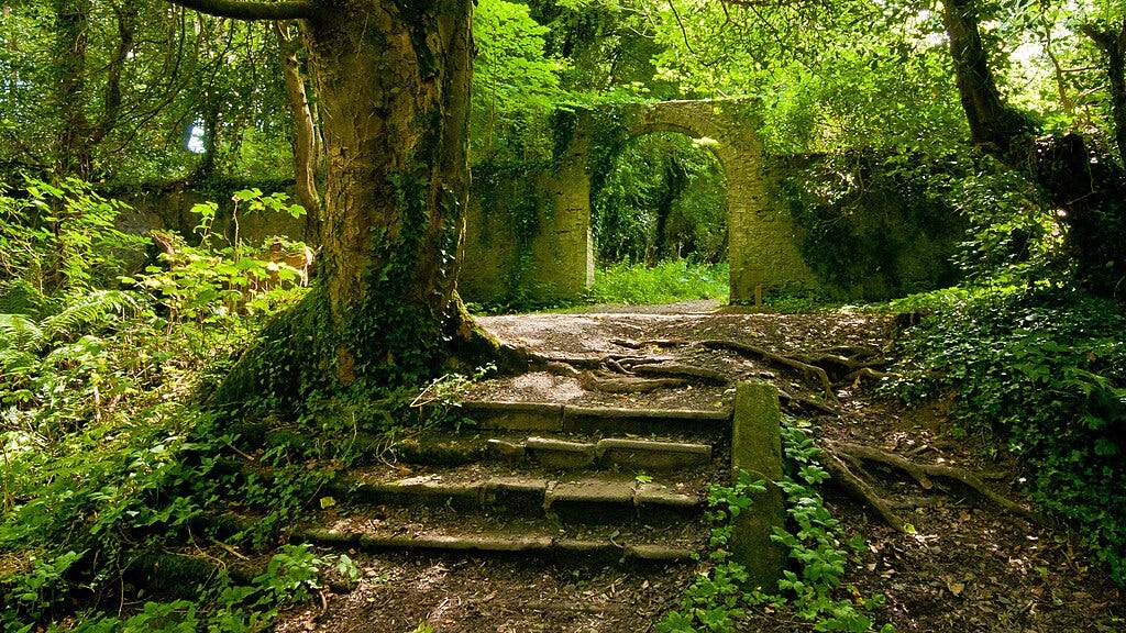 File:Killakee Estate Ruined Garden (Summer).jpg - Wikimedia Commons