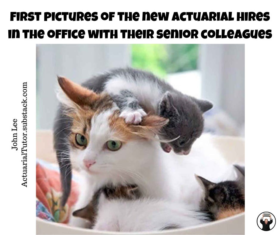 First pictures of the new actuarial hires