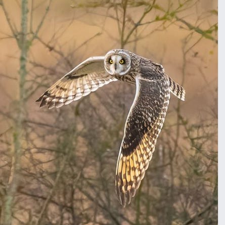 A few little things....