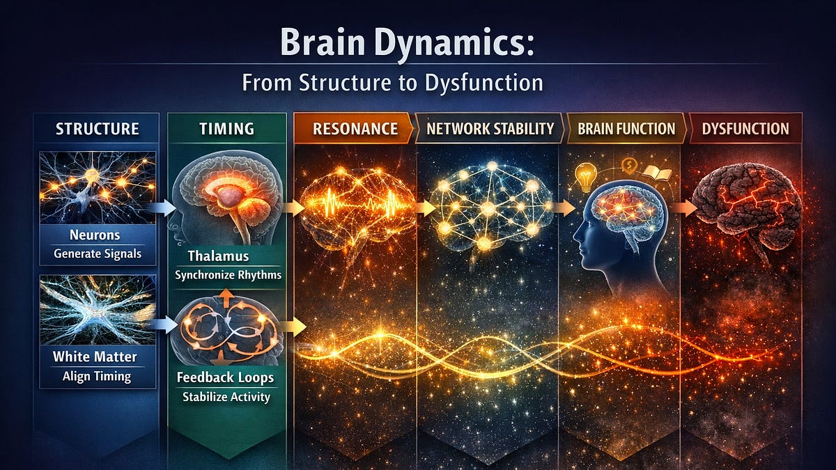 A Unified Systems Framework of Brain Function