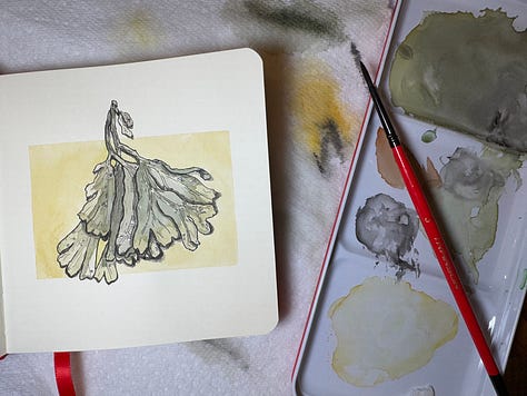 Black pen outline drawings painted with water colour.