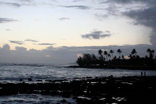 IMG_2585 IMG_2585