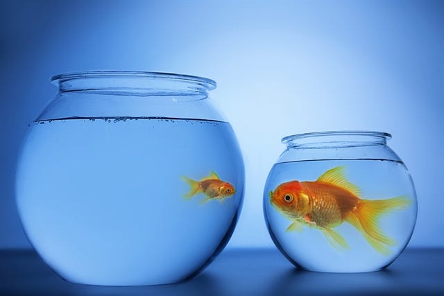 Why It's Good to Be a Big Fish in a Small Pond in Manufacturing > ENGINEERING.com