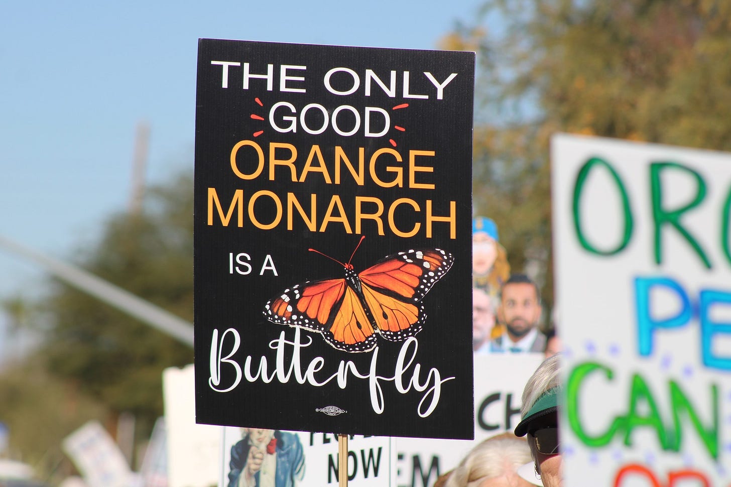 May be an image of text that says 'THE ONLY GOOD- ORANGE MONARCH ISA OR Butterfly PE C Nbw Nbw NbW:M :M CAN'