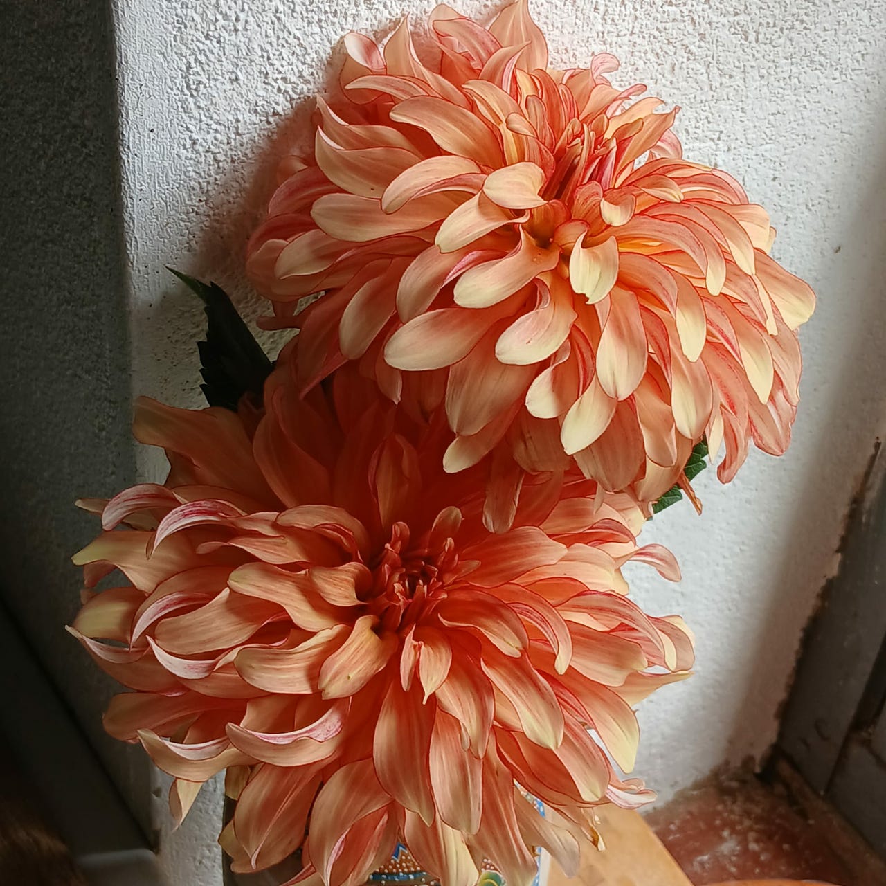 The Intuition Portal