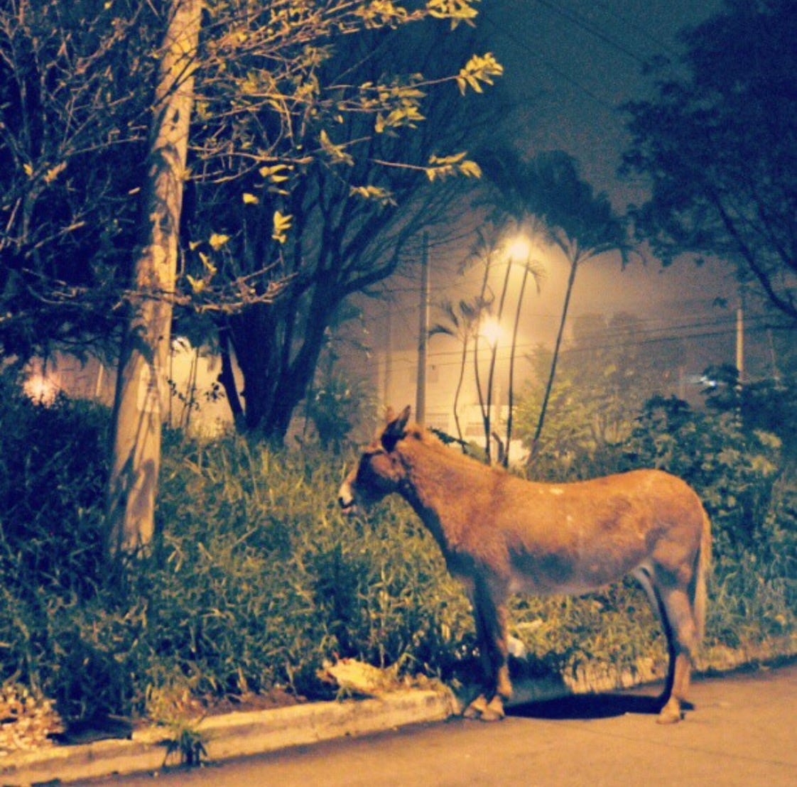 edifício atlântico
