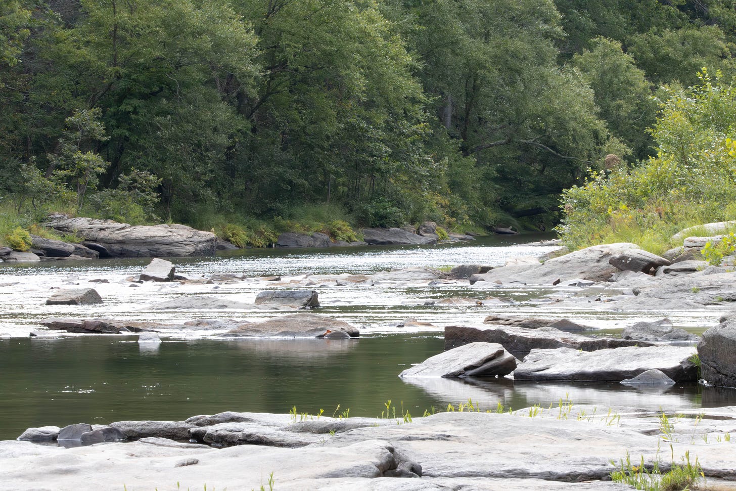 A river running through plush green trees, with many large river rocks scattered in its bed.
