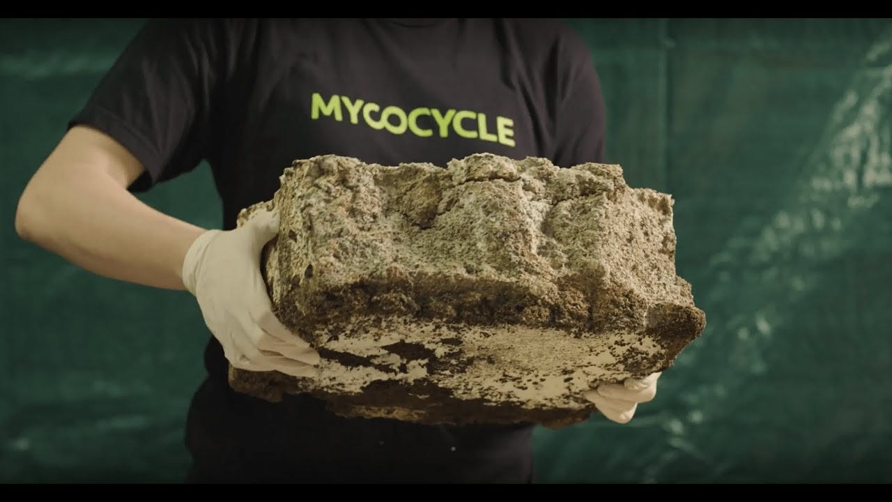Media - Mycocycle