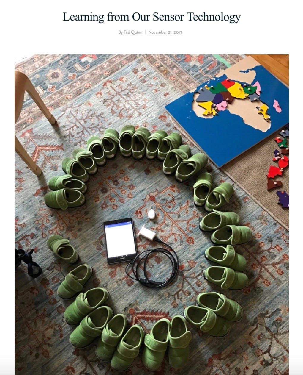 Wildflower IoT Slippers
