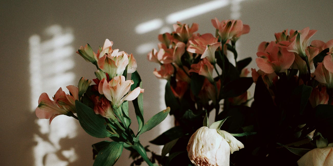 The selective grief of the West