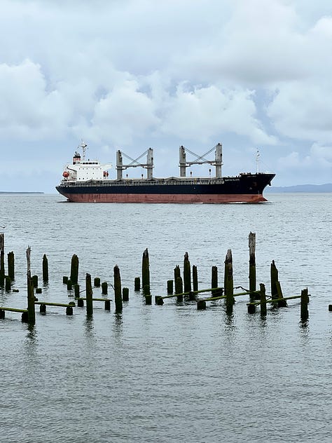 1. Tugboat going under a bridge at sunset. 2. Freighter on the Columbia River. 3. Astoria-Megler Bridger in sunrise. 4. Ships on the Columbia River with pilings. 5. Binoculars. 6. Big ship on the Columbia River. 7. View of the Columbia and Pacific Ocean from the Astoria Column. 8. Photo of Rose smiling from the Astoria Column. 9. View of downtown Astoria and the Columbia River