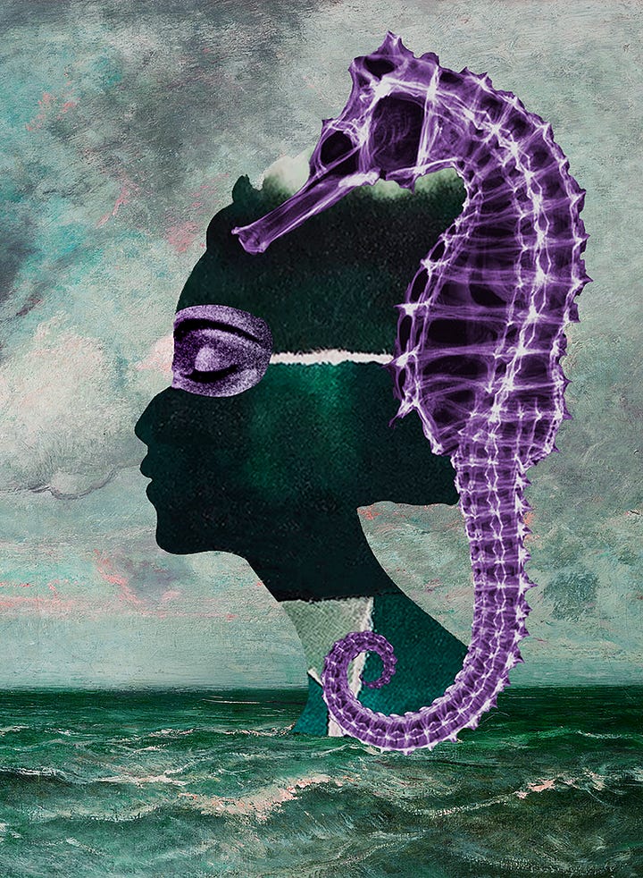 "The Ghosted Writer" image on the left and "The Queen of Seahorses" on the right