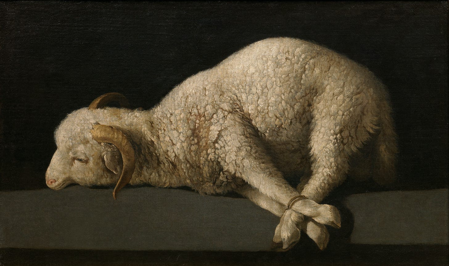 Agnus Dei (Zurbarán) - Wikipedia