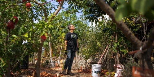 A person standing under a tree

Description automatically generated with medium confidence