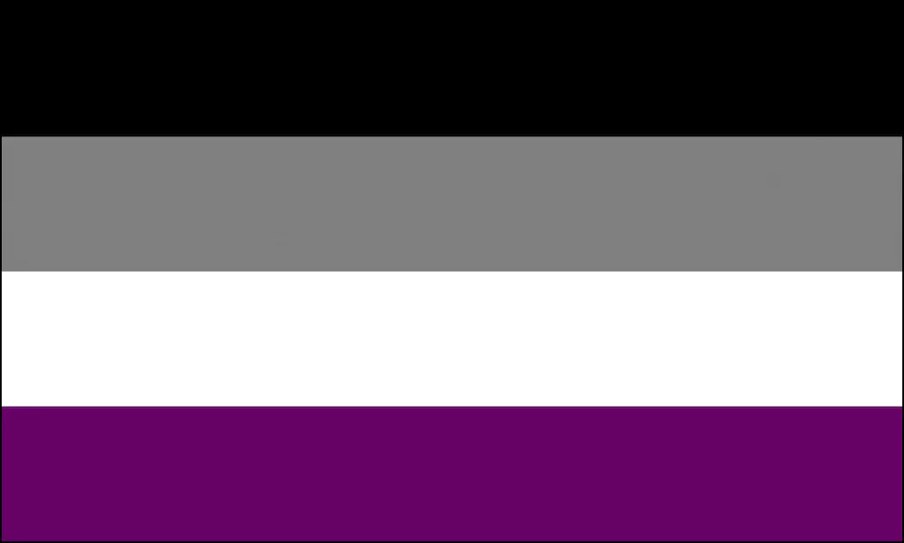 From top to bottom, the asexual flag has black, grey, white and purple stripes.