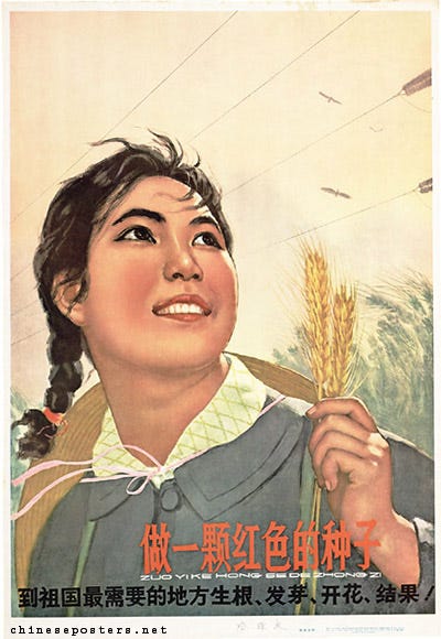 Become a red seedling -- Strike root, flower and bear seeds in the places the motherland needs it most!, 1965 Become a red seedling -- Strike root, flower and bear seeds in the places the motherland needs it most!, 1965