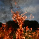 Logo for Through the Fire