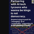 Partnering with AI tech tycoons who wanna be kings is not democracy.