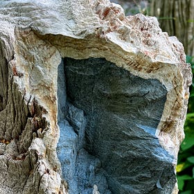 When Trees Still Whisper but Are We Still Humans?