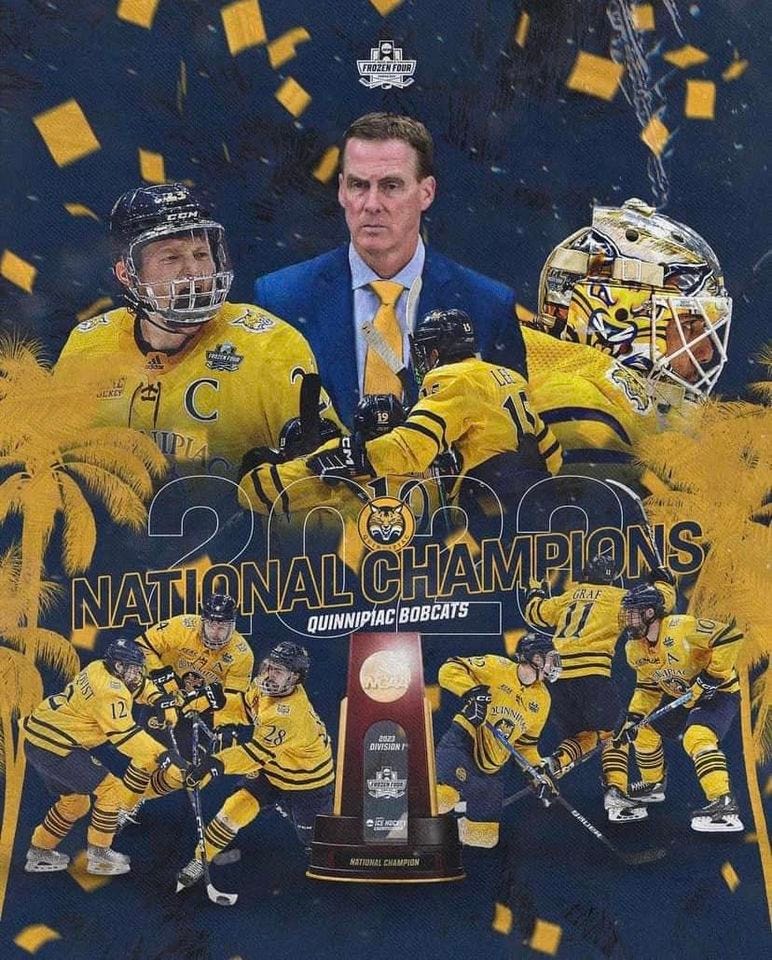 May be an image of 2 people and people playing hockey