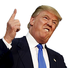 Donald Trump Will Solve Immigration Crisis By Getting Rid Of Pesky Constitution